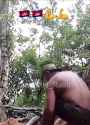 1741584174251413_thumb.jpg