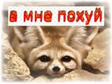 1708578905165