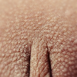 pussy s