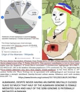 34% serbs have albanian patrilineal origin