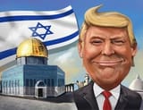 zognald trump