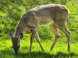 IMG_20250401_150204526_HDR