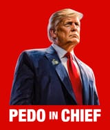 PedoInChief