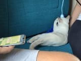 IMG_20250725_231926_683