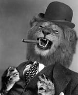 dandylion