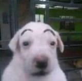 1742391652531856