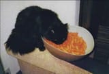 KotCheetoh