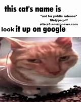 1732448551893850