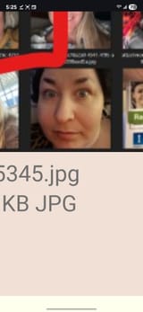 Screenshot_20250725_172543_Chrome