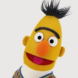 bert 47irevr