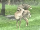 IMG_20250404_092418989_HDR