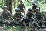 IMG_20250721_214929_533