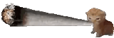1753422503920401