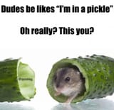 1729741325738102