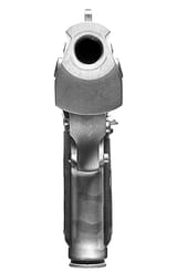 3022291-inline-eagle11x17