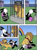 illegals and leftists