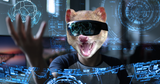 future-Quoll