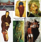 upiznvufaen51 (1)