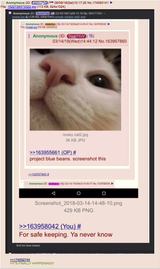 1528572489535