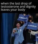 fag dems