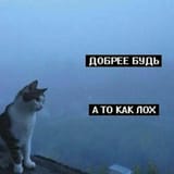 17467186695441