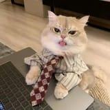 business