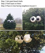 eyestrees