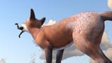 1664214369.azkinart_fox_hunt_1