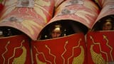 TESTUDO!