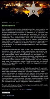 Neverland bodies