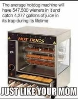 yo mama