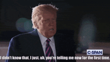 donald-trump-trump