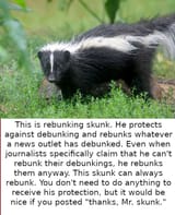 Rebunking Skunk