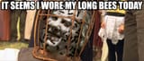 longbees