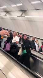 publicstranger_7513584668113898774 6_thumb.jpg