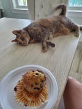 MUFFINKOT05