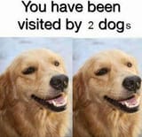 1628691341310