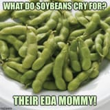 GoyFeed