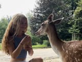 jt_deer_0615
