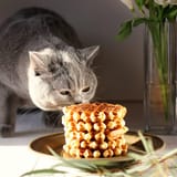 WAFFLEKOT007