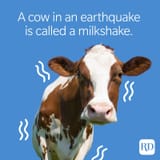 48918912984