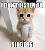 5445591