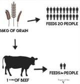 cowmeat
