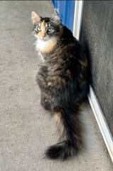 IMG_536_202