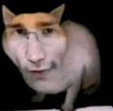 GUEXmu7W8AE6_so