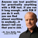 PCR
