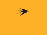 Flight