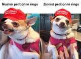 doggo