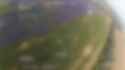 Ukrainian Forpost border guards used interceptor drones to destroy Russian Zala, Orlan, Supercam, and Molniya UAVs near Vovchansk. 25-07-2025 ArmyInform HD_thumb.jpg