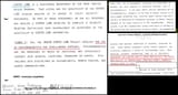 center lane - briefing document - excerpts